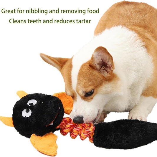Soft Squeaky Plush – Playtime Buddy for Happy Pets