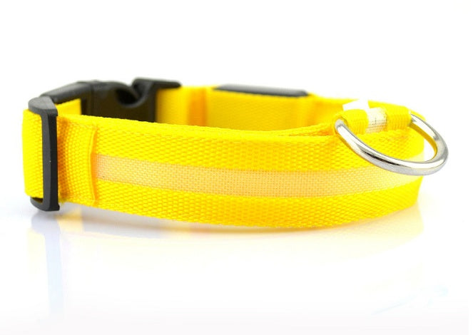 LED Dog Collar – Stay Visible and Safe at Night!