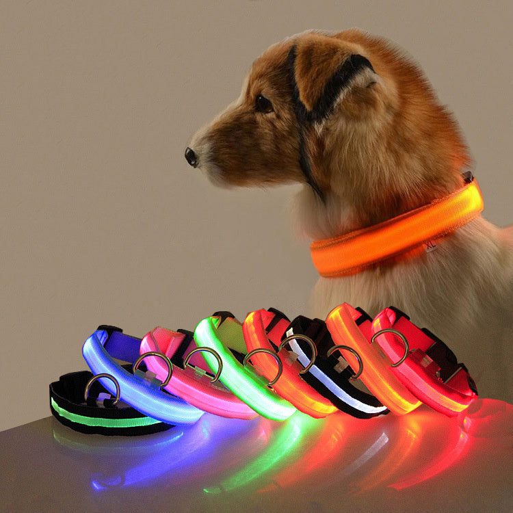 LED Dog Collar – Stay Visible and Safe at Night!
