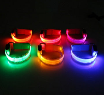 LED Dog Collar – Stay Visible and Safe at Night!