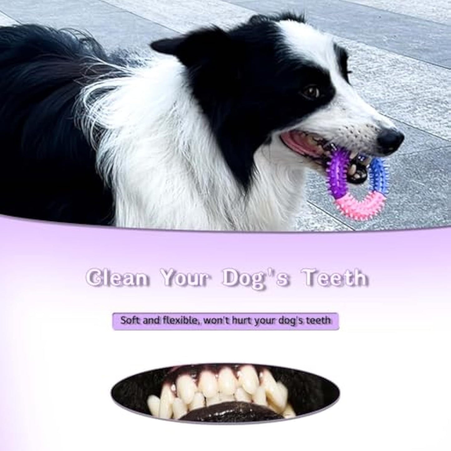 Rubber Chew Ring – Teething Relief Toy for Happy Dogs