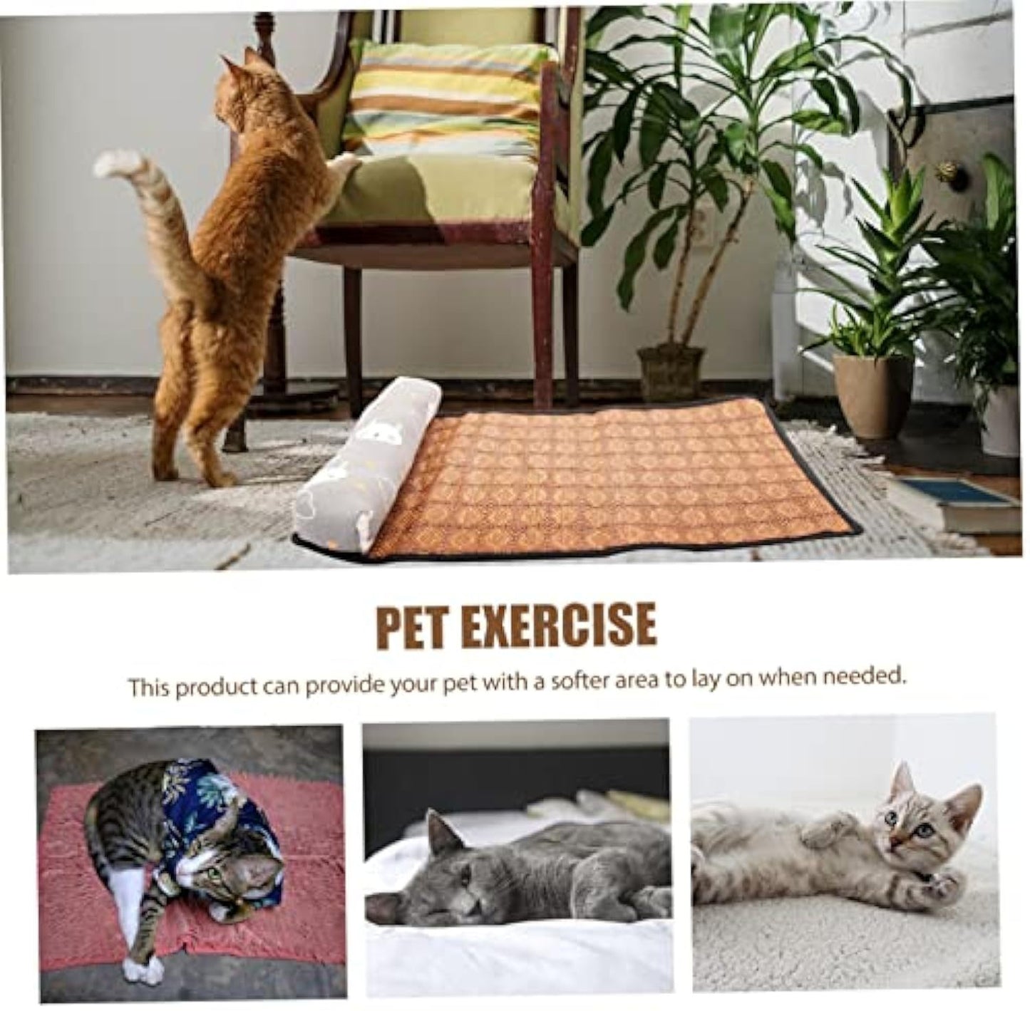 Cooling Mat for Pets – Beat the Summer Heat!