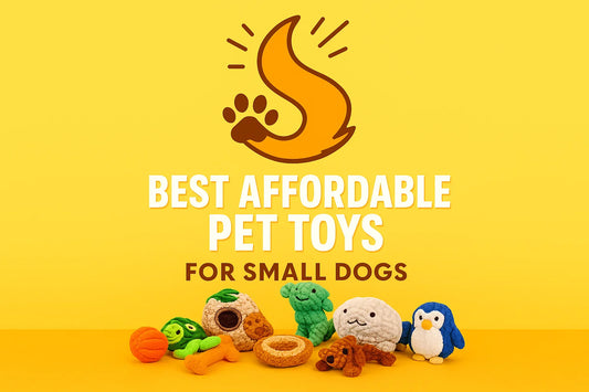 Top 10 Affordable Pet Toys for Small Dogs in 2025