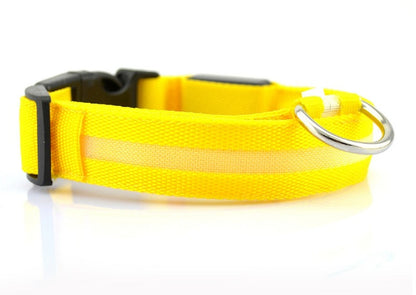 LED Dog Collar – Stay Visible and Safe at Night!