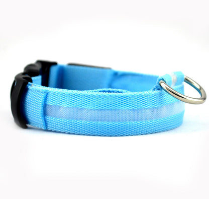 LED Dog Collar – Stay Visible and Safe at Night!