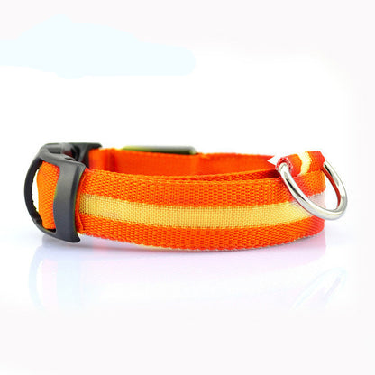LED Dog Collar – Stay Visible and Safe at Night!