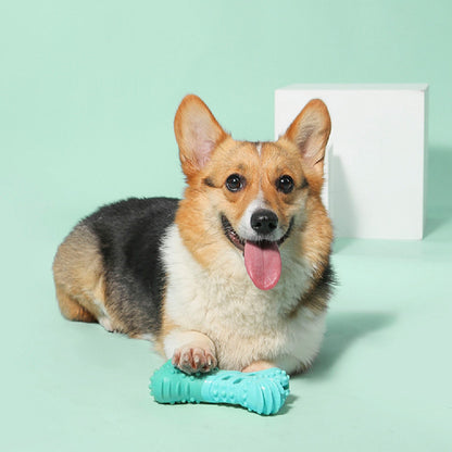 Food Dispensing Dog Toy for Fun Outdoor Play