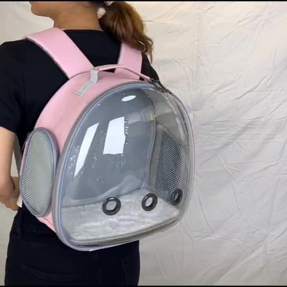 Transparent Pet Backpack Carrier for Hamsters, Rabbits & Small Animals